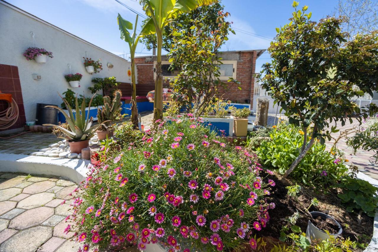 Vila Aulona Vlore Exterior photo
